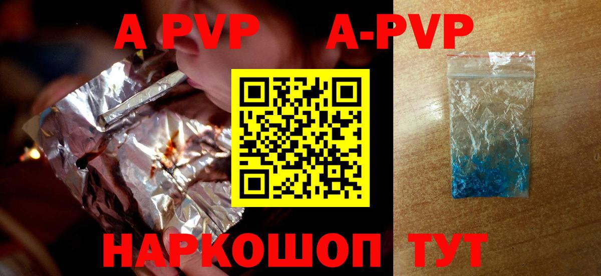 A PVP СК КРИС Кингисепп